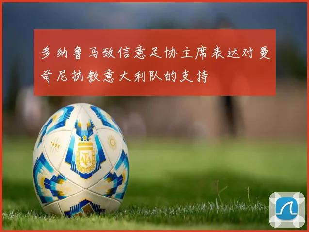 多纳鲁马致信意足协主席表达对曼奇尼执教意大利队的支持
