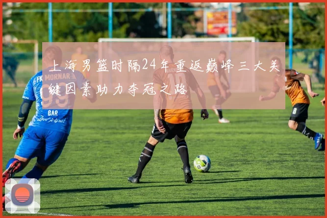 上海男篮时隔24年重返巅峰三大关键因素助力夺冠之路