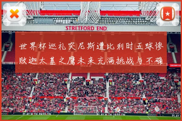 世界杯巡礼突尼斯遭比利时五球惨败迦太基之鹰未来充满挑战与不确定性