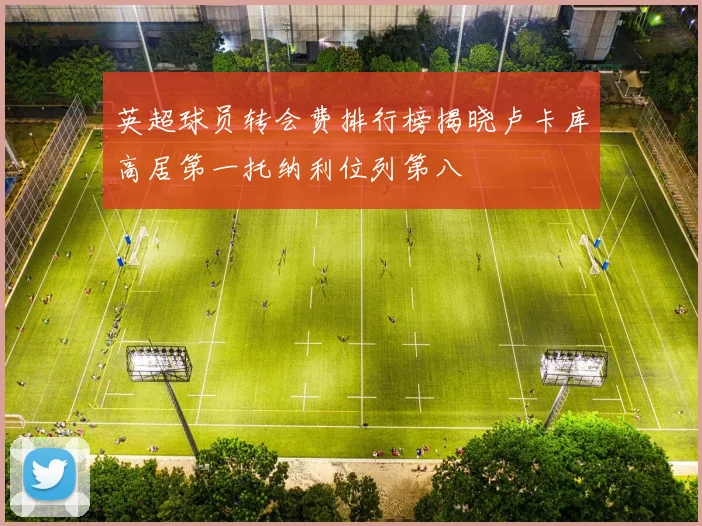 英超球员转会费排行榜揭晓卢卡库高居第一托纳利位列第八