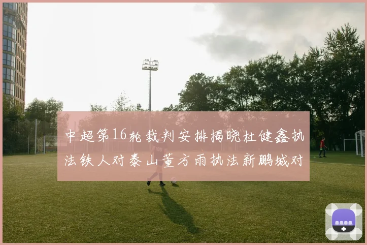 中超第16轮裁判安排揭晓杜健鑫执法铁人对泰山董方雨执法新鹏城对蓉城
